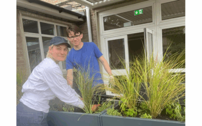 Huge thanks to Honor and Tancred for the planting in the sensory garden